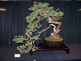 Annual Show 2011 - 13 2011